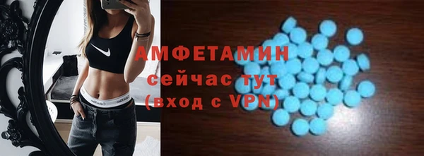 молекула духа Бородино