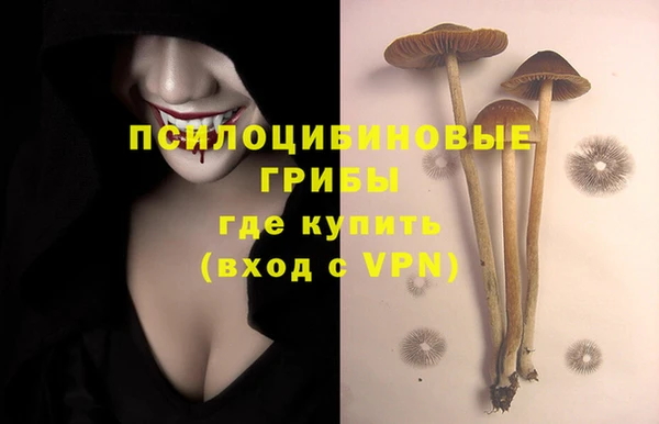 молекула духа Бородино