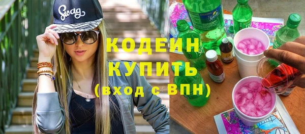 молекула духа Бородино